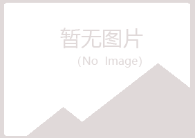 北京冰夏采矿有限公司